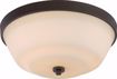 Picture of NUVO Lighting 60/5904 Willow - 2 Light Flush Fixture with White Glass