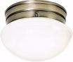 Picture of NUVO Lighting 60/6114 1 Light - 8" - Flush Mount - Small White Mushroom; Color retail packaging