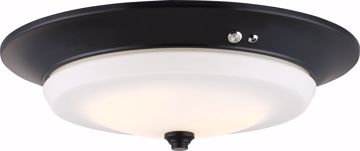 Picture of NUVO Lighting 62/972 LED Emergency Lighting; Flush Fixture; Aged Bronze Finish; Battery Backup Ready