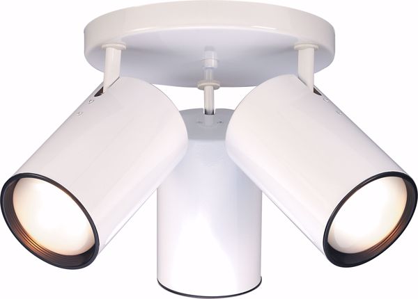 Picture of NUVO Lighting SF76/422 3 Light - R30 - Straight Cylinder