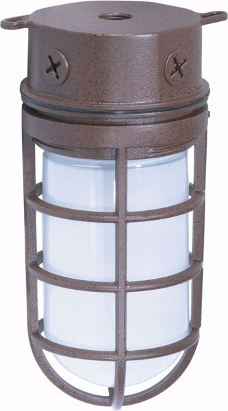 Picture of NUVO Lighting SF76/625 1 Light - 10" - Industrial Style - Surface Mount with Frosted Glass