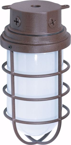 Picture of NUVO Lighting SF76/627 1 Light - 11" - Industrial Style - Surface Mount with Frosted Glass