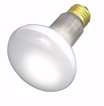 Picture of SATCO S3210 30R20 RFL Standard BASE Incandescent Light Bulb