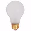 Picture of SATCO S3931 75A19 R/S SAFETY COATED Incandescent Light Bulb