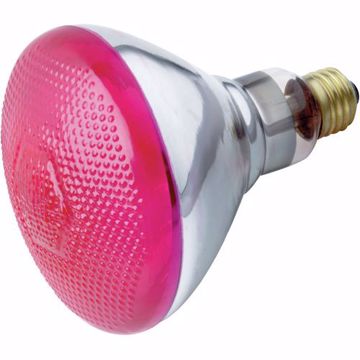 Picture of SATCO S4429 100W BR-38 PINK 120 Volt Incandescent Light Bulb
