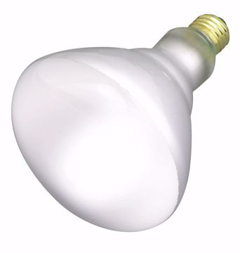 Picture of SATCO S4453 65BR40 FLOOD 130V. Incandescent Light Bulb