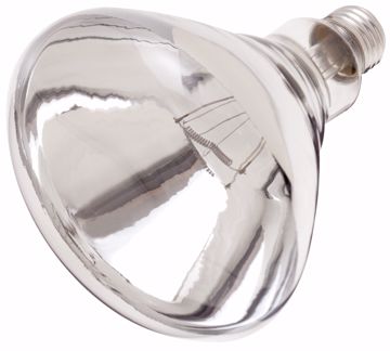 Picture of SATCO S4758 250BR40/1/TF SHATTER CL Incandescent Light Bulb