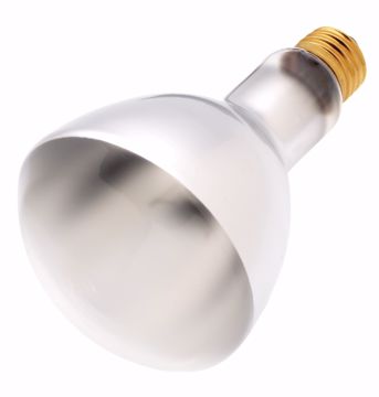Picture of SATCO S4956 50ER30/130V Incandescent Light Bulb