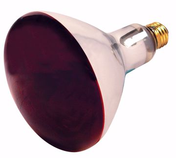 Picture of SATCO S4998 250R40/HR RED INFrostedARED HEAT LA Incandescent Light Bulb