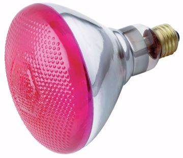 Picture of SATCO S5007 230 VOLT 100W BR-38 PINK E27 Incandescent Light Bulb