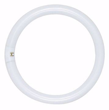 Picture of SATCO S6509 FC6T9/CW/RS Fluorescent Light Bulb