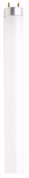 Picture of SATCO S6584 F25T8/741/TF SHATTER PROOF Fluorescent Light Bulb
