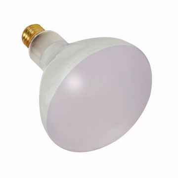 Picture of SATCO S7003 300BR40/FL/130V POOL LAMP Incandescent Light Bulb