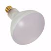 Picture of SATCO S7006 400BR40 FL 120V E26 Incandescent Light Bulb