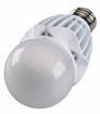 Picture of SATCO S8735 20WA21/LED/HID/2700K/120V/DIM/ LED Light Bulb