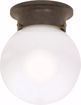 Picture of NUVO Lighting 60/247 1 Light - 6" - Ceiling Mount - White Ball