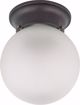 Picture of NUVO Lighting 60/3154 1 Light 6" Ceiling Mount with Frosted White Glass