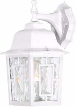 Picture of NUVO Lighting 60/3484 Banyan - 1 Light - 12" Outdoor Wall with Clear Water Glass; Color retail packaging