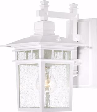 Picture of NUVO Lighting 60/3491 Cove Neck - 1 Light - 12" Outdoor Lantern with Clear Seed Glass; Color retail packaging