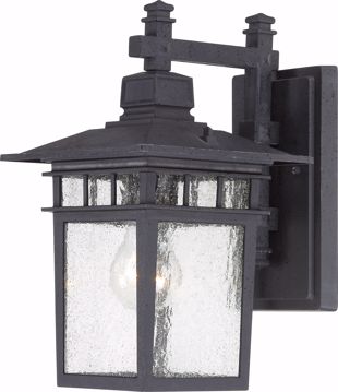 Picture of NUVO Lighting 60/3493 Cove Neck - 1 Light - 12" Outdoor Lantern with Clear Seed Glass; Color retail packaging