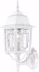 Picture of NUVO Lighting 60/4924 Banyan - 1 Light - 17" Outdoor Wall with Clear Water Glass