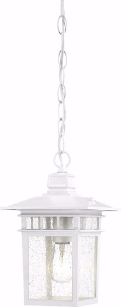Picture of NUVO Lighting 60/4954 Cove Neck - 1 Light - 12" Outdoor Hang with Clear Seed Glass