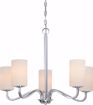 Picture of NUVO Lighting 60/5805 Willow - 5 Light Hanging Fixture with White Glass