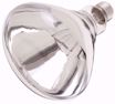 Picture of SATCO S4757 250BR40/1 CLEAR HEAT LAMP Incandescent Light Bulb