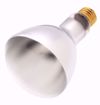 Picture of SATCO S4956 50ER30/130V Incandescent Light Bulb