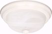 Picture of NUVO Lighting 60/223 3 Light - 15" - Flush Mount - Alabaster Glass