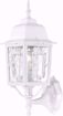 Picture of NUVO Lighting 60/3487 Banyan - 1 Light - 17" Outdoor Wall with Clear Water Glass; Color retail packaging
