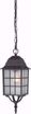 Picture of NUVO Lighting 60/4913 Adams - 1 Light - 16" Outdoor Hanging with Frosted Glass