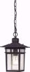 Picture of NUVO Lighting 60/4956 Cove Neck - 1 Light - 12" Outdoor Hang with Clear Seed Glass