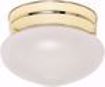Picture of NUVO Lighting 60/6030 1 Light - 6" - Flush Mount - Small Frosted Grape Mushroom; Color retail packaging