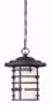 Picture of NUVO Lighting 60/6405 Lansing - 1 Light Outdoor Hanging Lantern With Etched Glass
