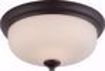 Picture of NUVO Lighting 62/393 Kirk - 2 Light Flush Fixture with Etched Opal Glass - LED Omni Included