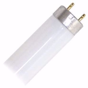 Picture for category F32T8 - 3000 Kelvin - T8 Linear Fluorescent Tubes